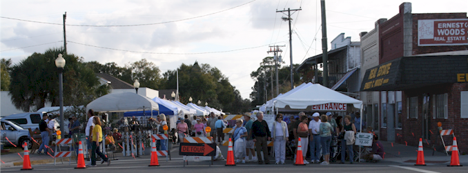 Florida Manatee Festival - Crystal River, FL : 32nd Annual Florida