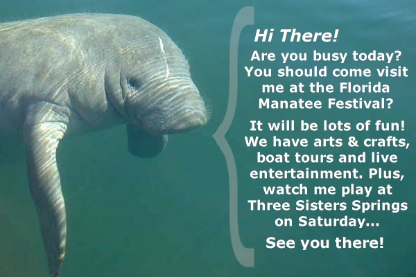 Florida Manatee Festival